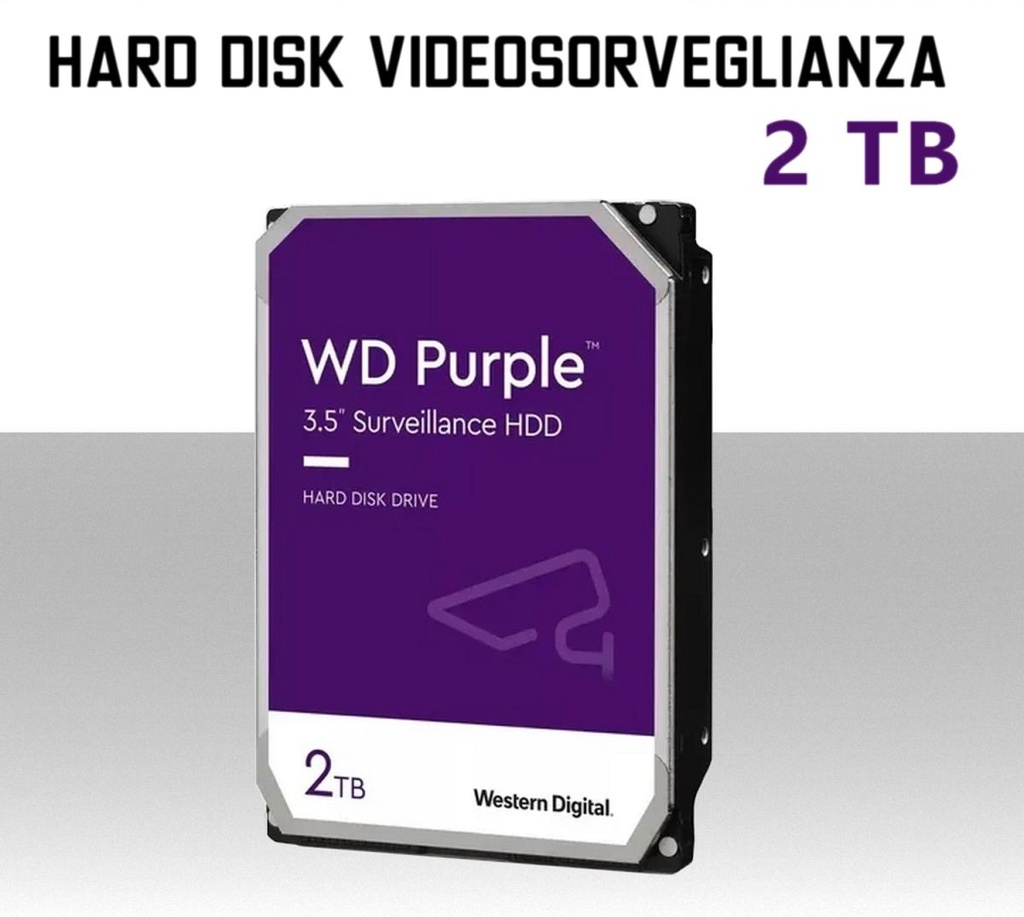 Hard Disk per videosorveglianza 2TB 3,5 pollici sata Western Digital Purple