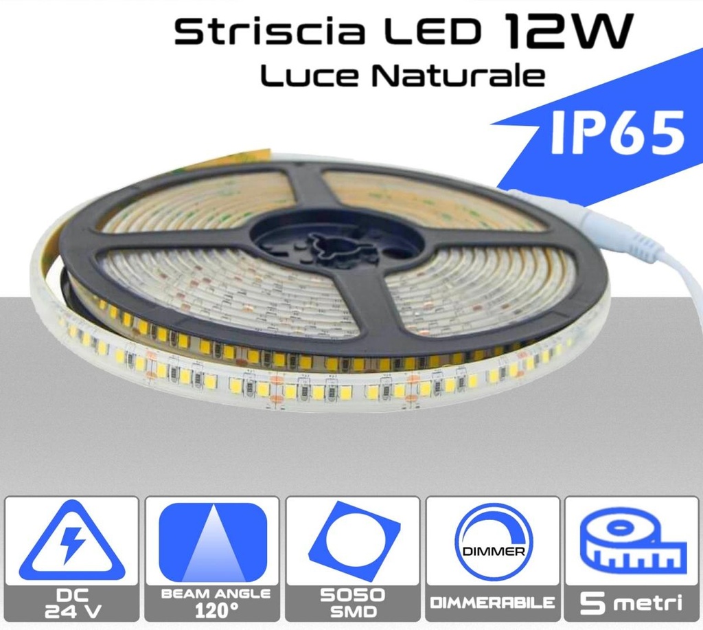 Striscia LED 12W Luce naturale 4000K da 5 metri 24V dimmerabile IP65