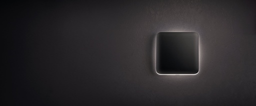 [AJAX-52150] SoloButton (2-gang) [55] ASP  SoloButton (2-gang) [55] ASP   Colore Grey